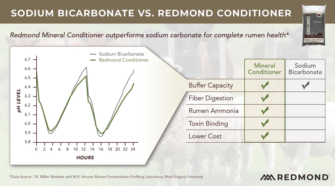 Redmond Conditioner outperforms sodium bicarbonate