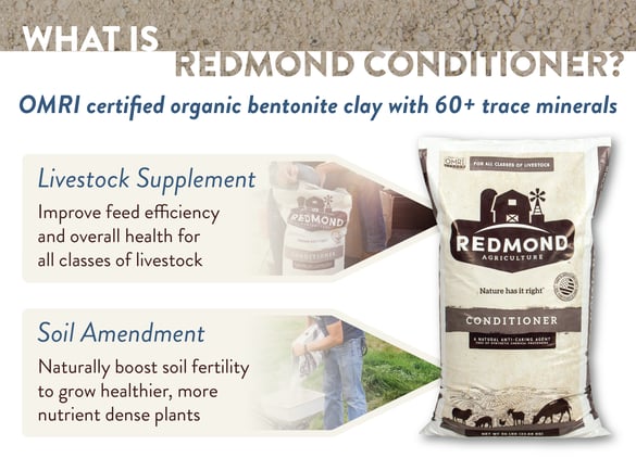 Redmond bentonite clay mineral conditioner