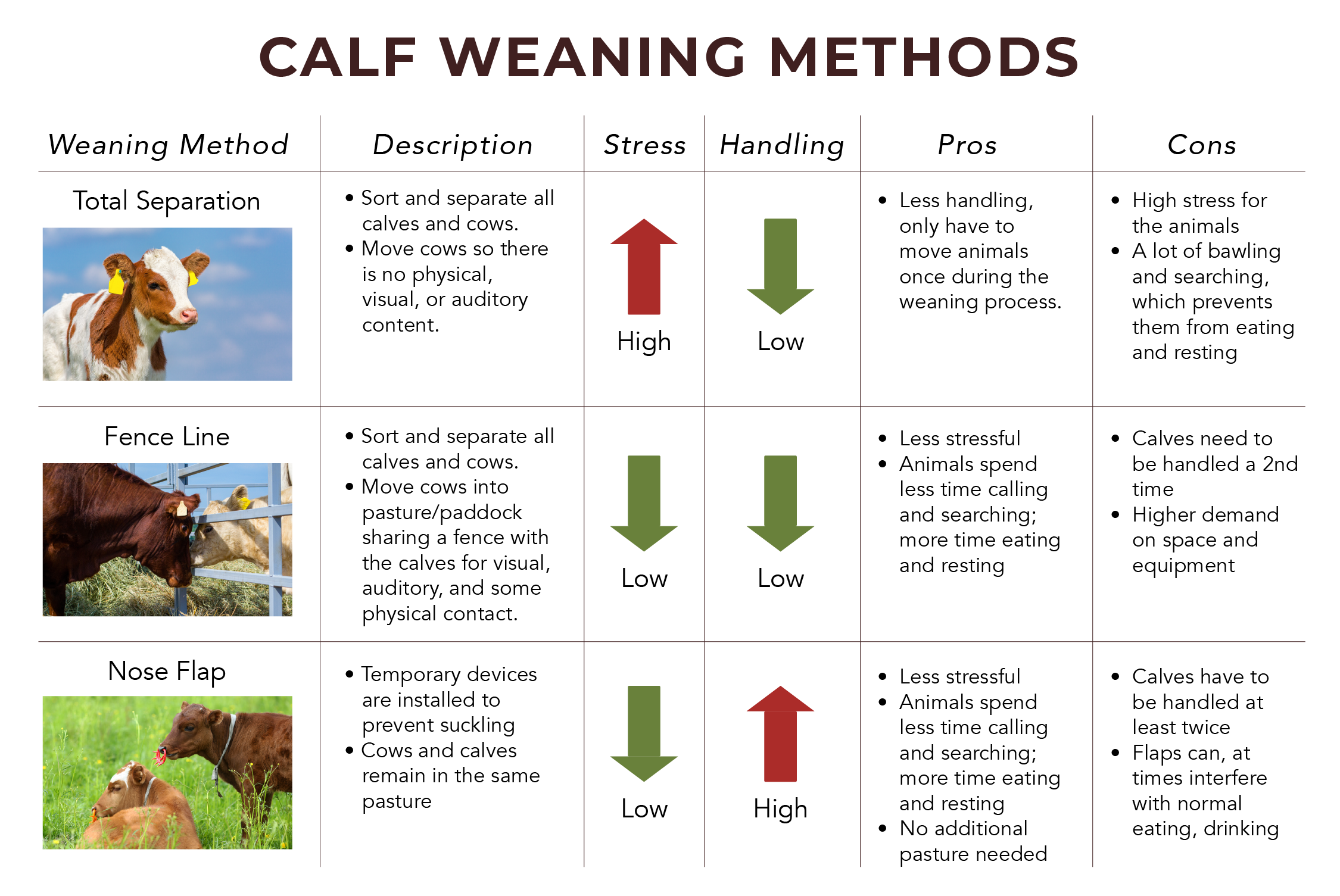 Pros and cons of different calf weaning methods