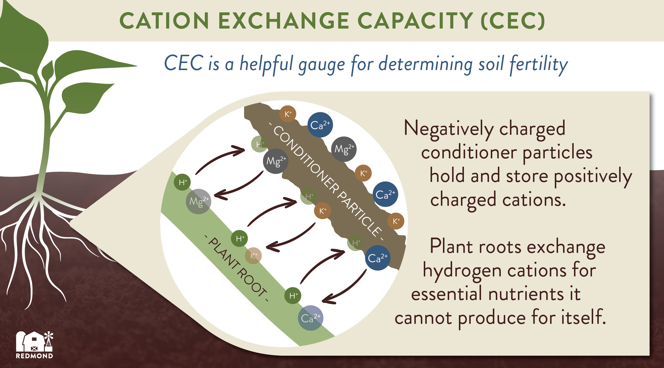 soil fertilizer cation exchange capacity