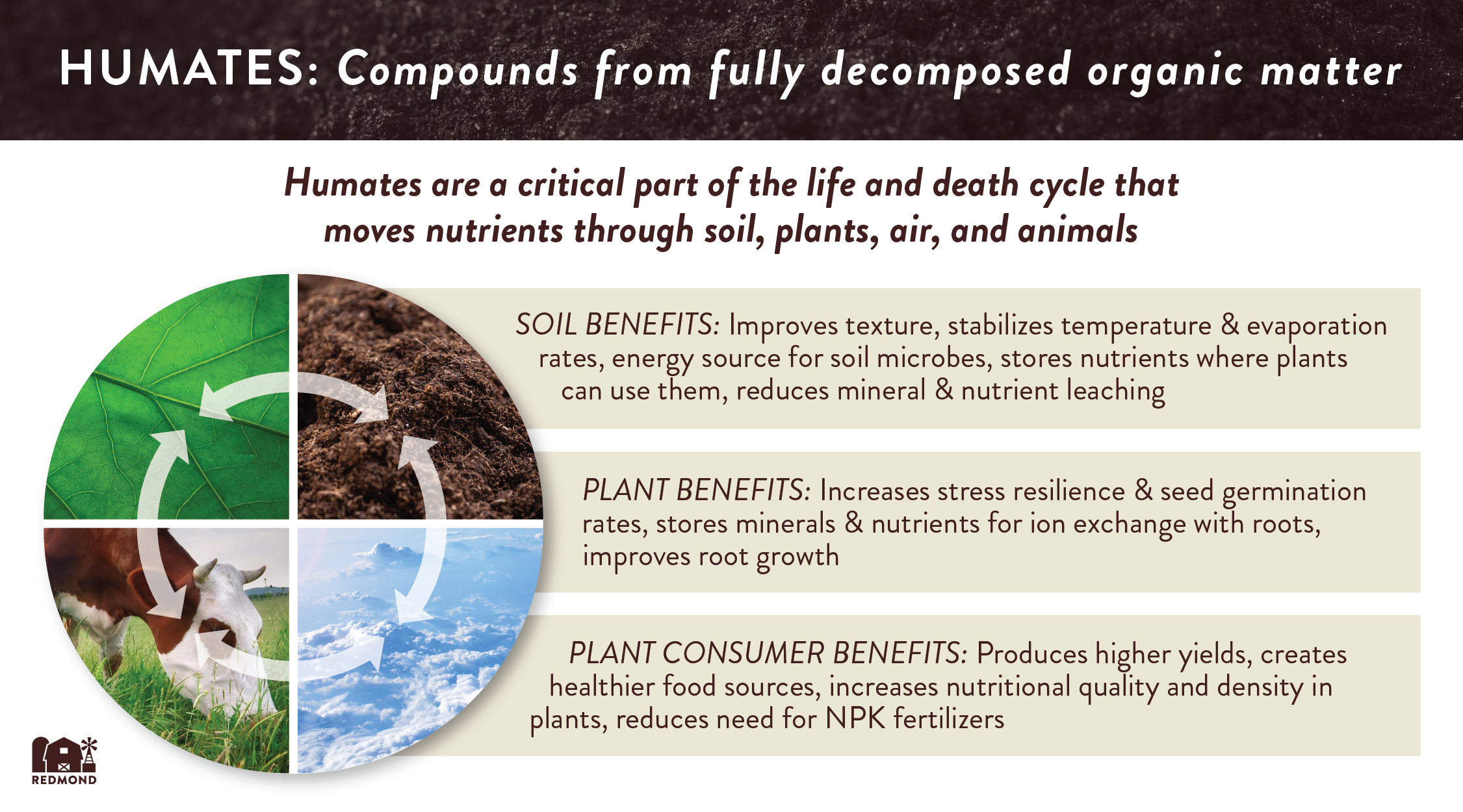 adding organic matter to your soil