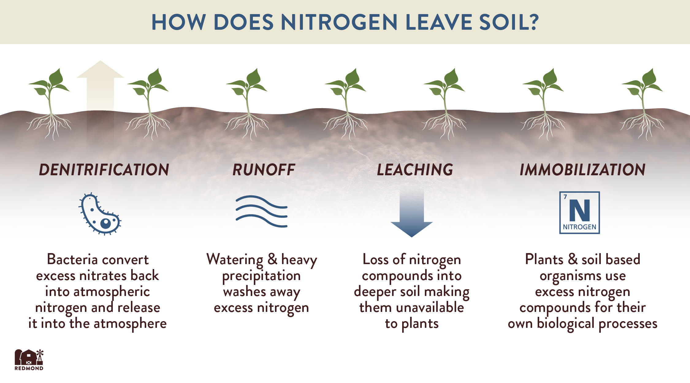 how does nitrogen leave soil