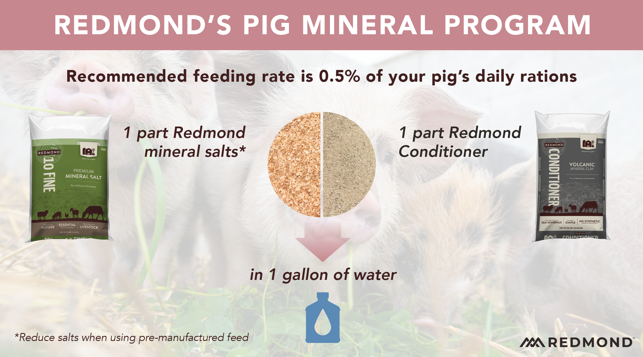 Redmond pig mineral program