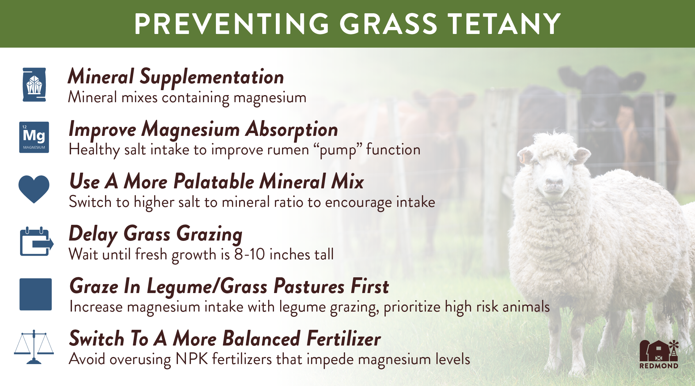 How to prevent grass tetany
