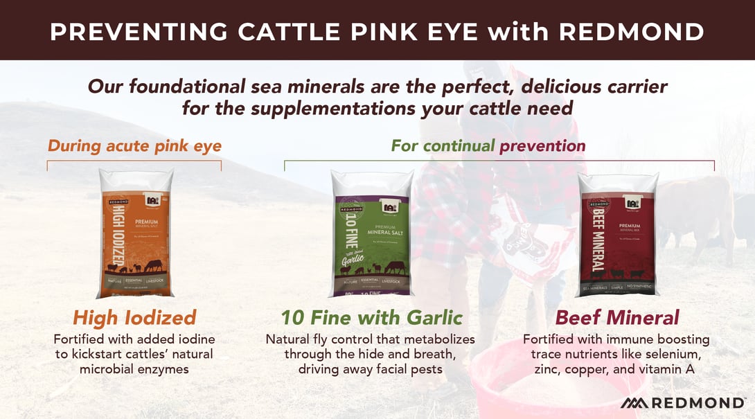 Minerals for cattle pink eye prevention