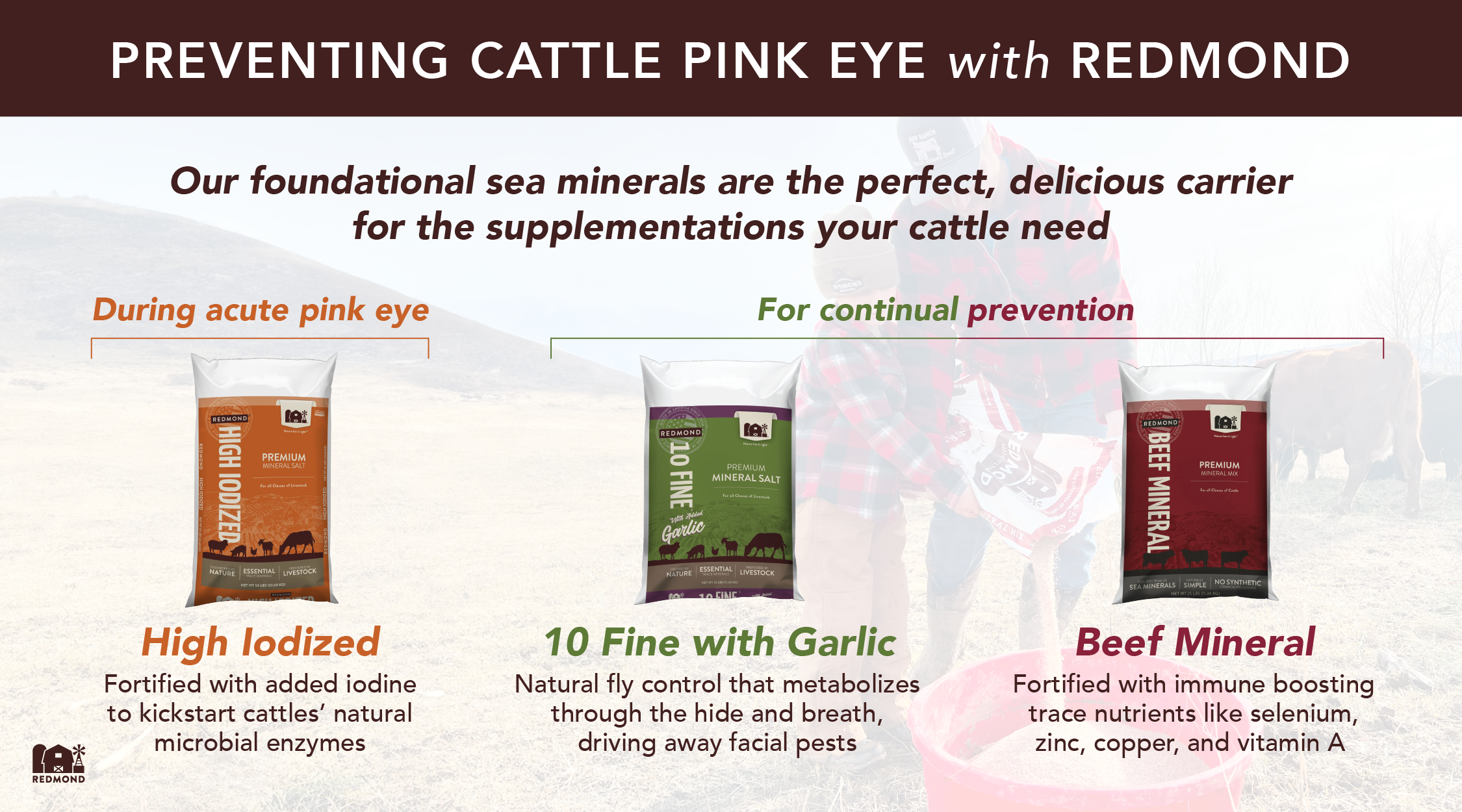 Cattle minerals for pink eye prevention