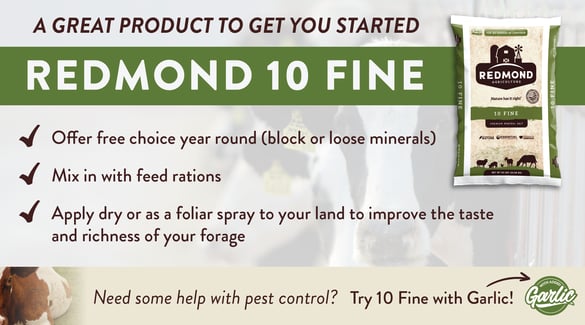 Redmond 10 fine mineral salt benefits