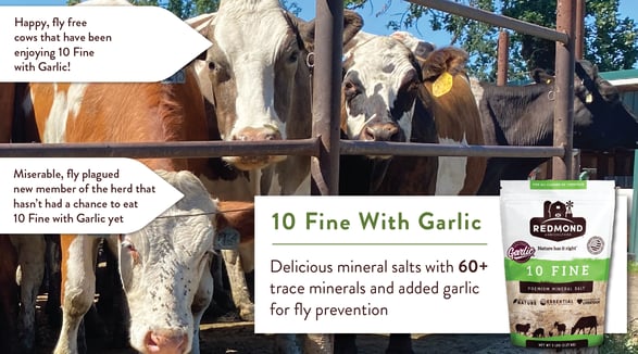 Redmond 10 fine with garlic repels flies and reduces methane output