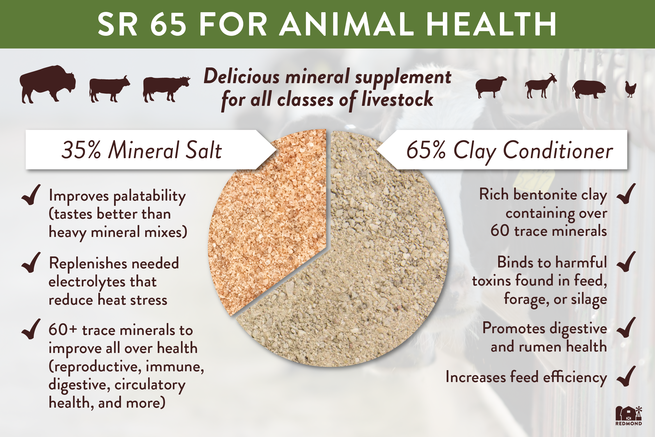 Redmond animal mineral supplement