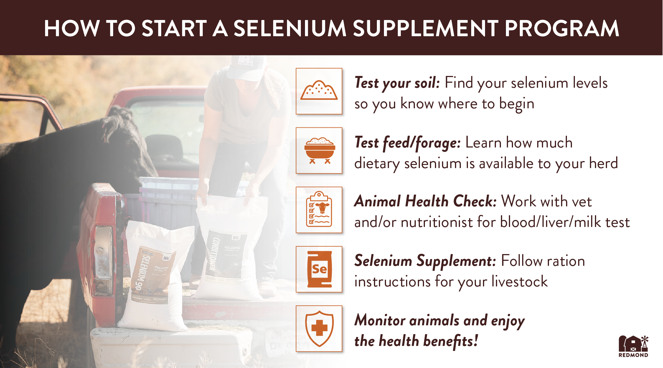 How to start a livestock selenium program