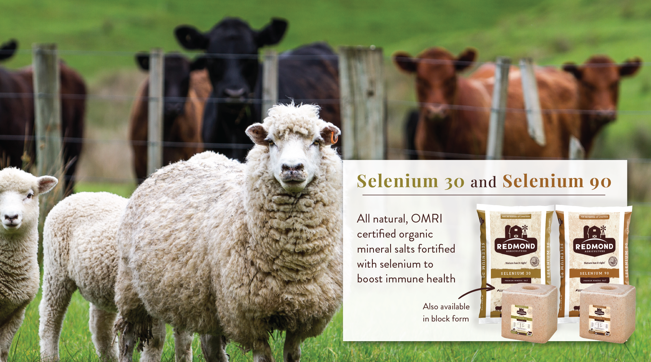 Selenium for Livestock