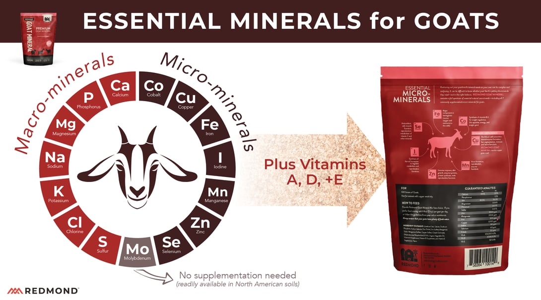 What minerals do goats need