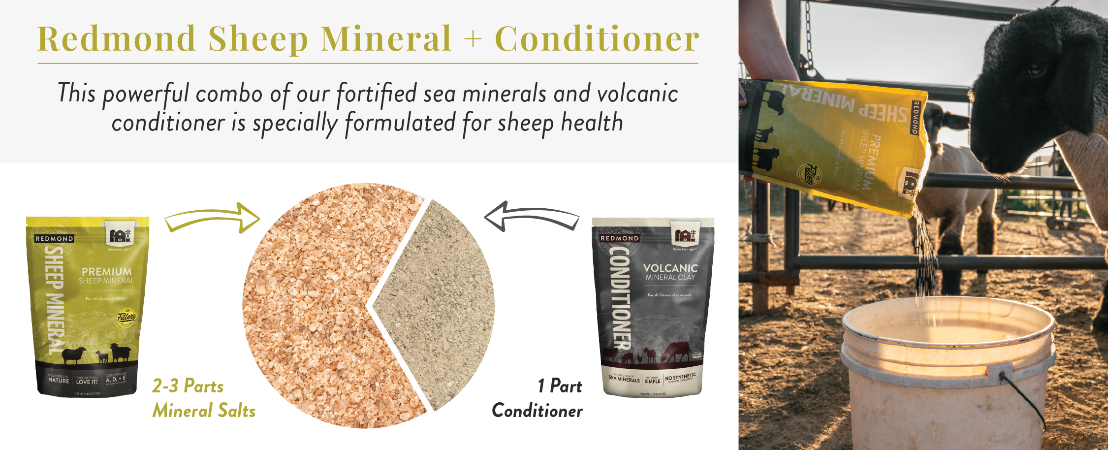 Redmond sheep mineral and conditioner