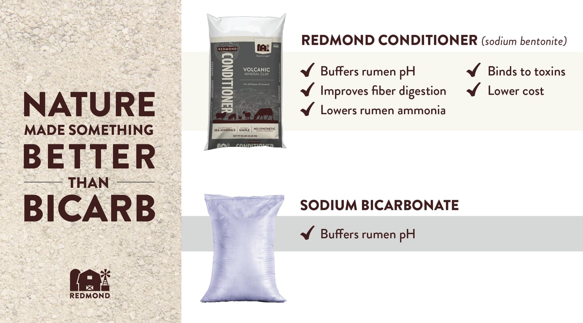 Bentonite vs sodium bicarbonate