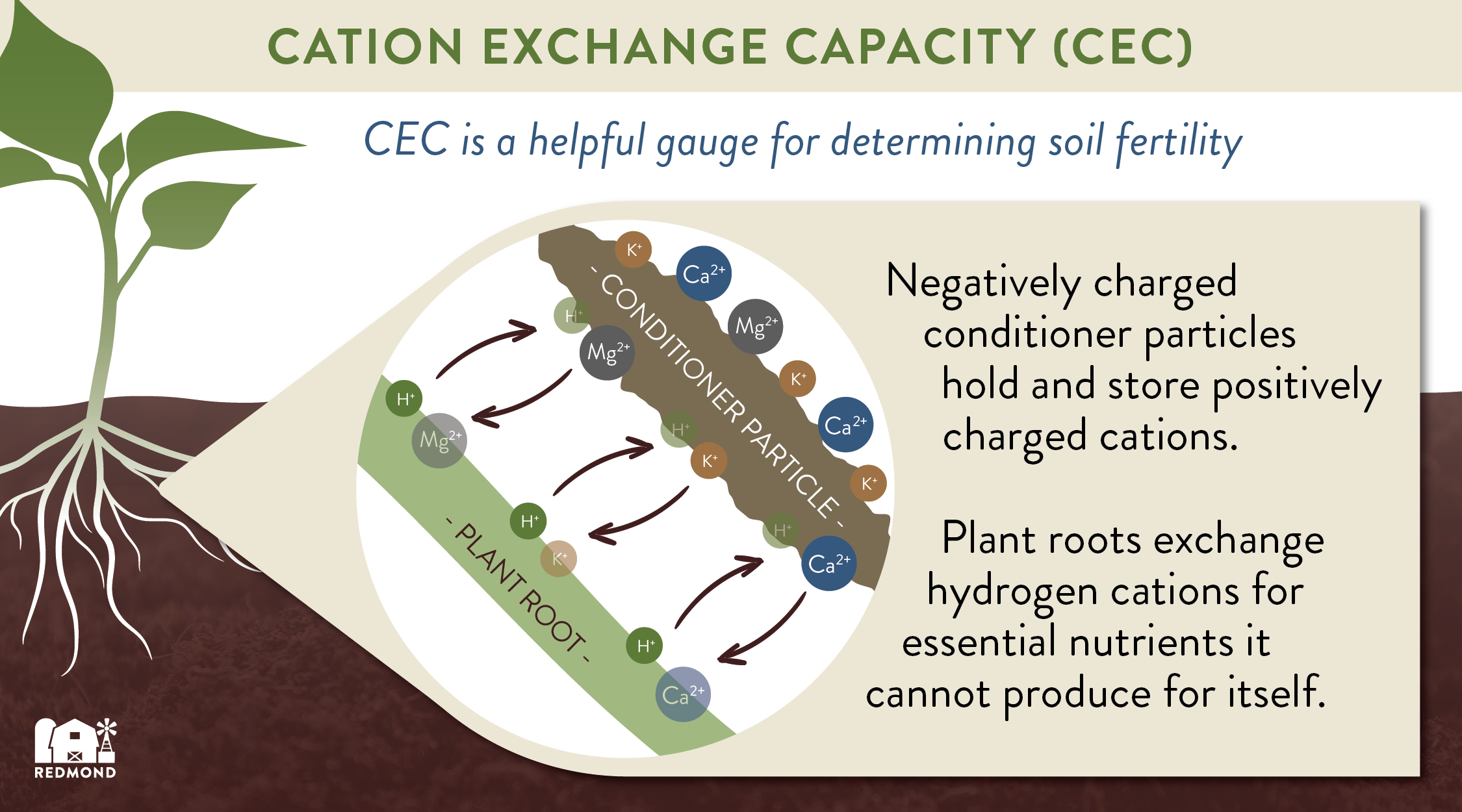 cation exchange capacity in soil