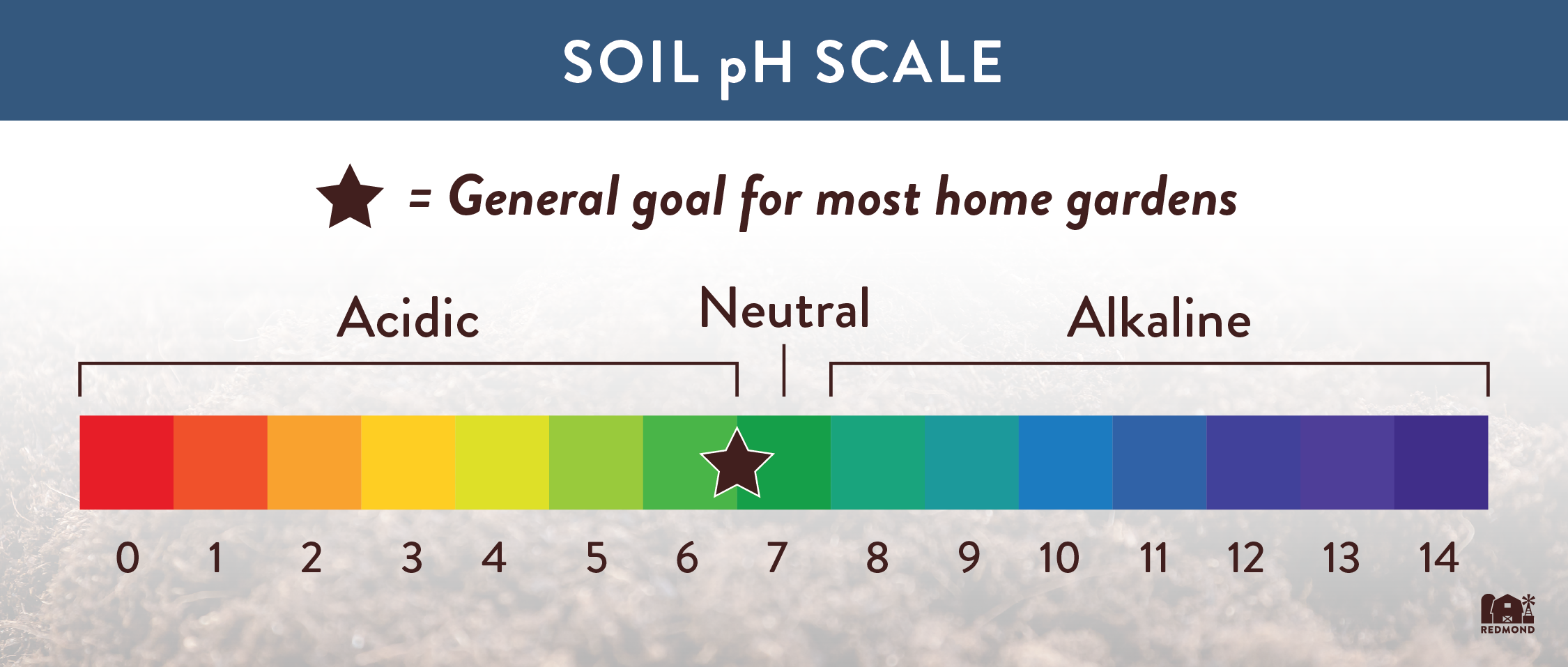 What should my soil pH be