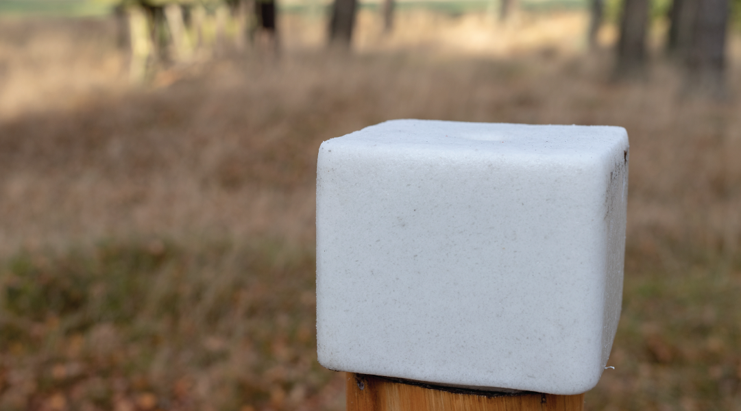 White salt block for livestock