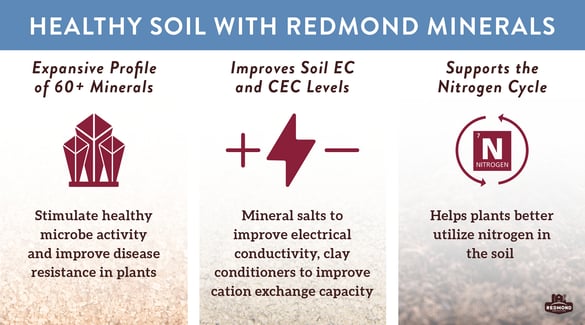 Redmond Minerals supports healthy soil
