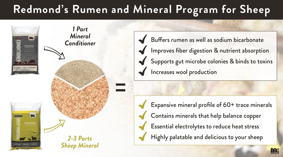 Sheep rumen and mineral program