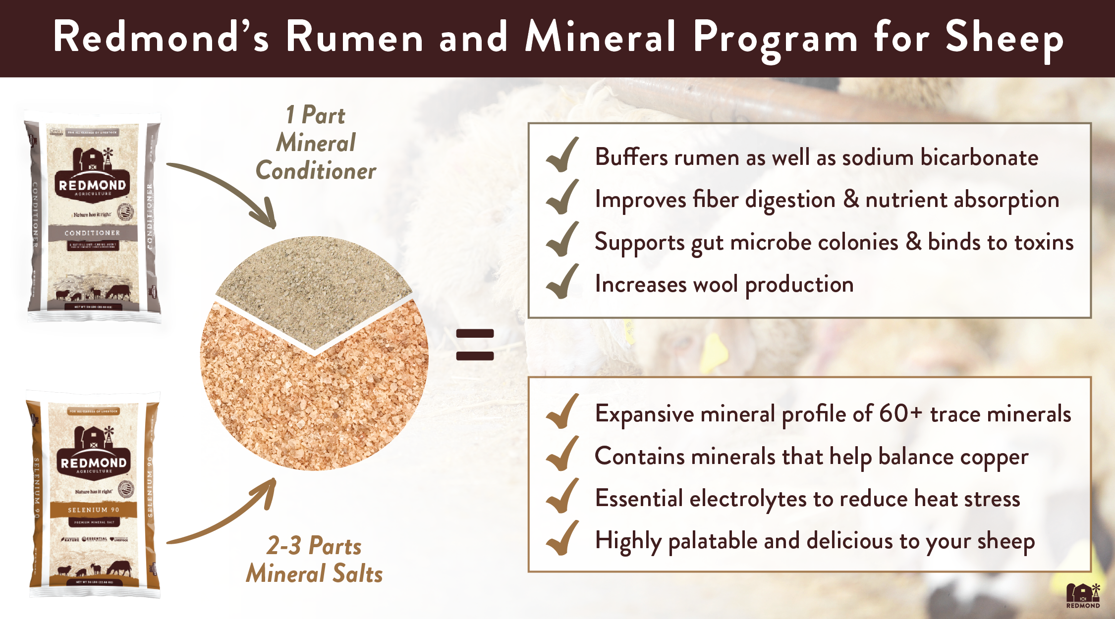 Redmond's rumen and mineral program for sheep