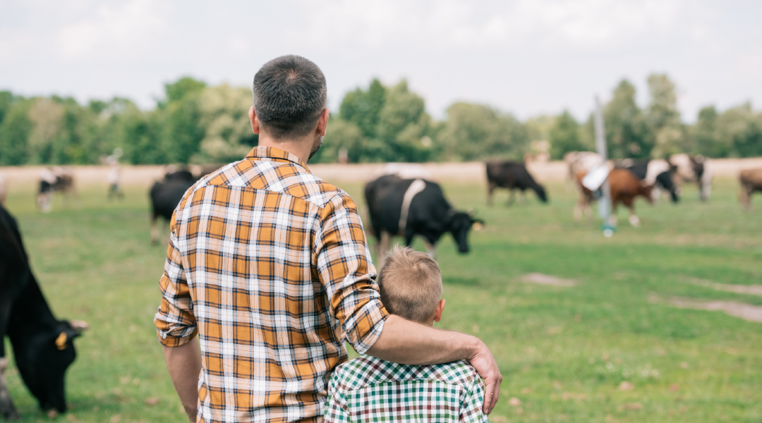 Man and child looking at a herd of cattle in a field