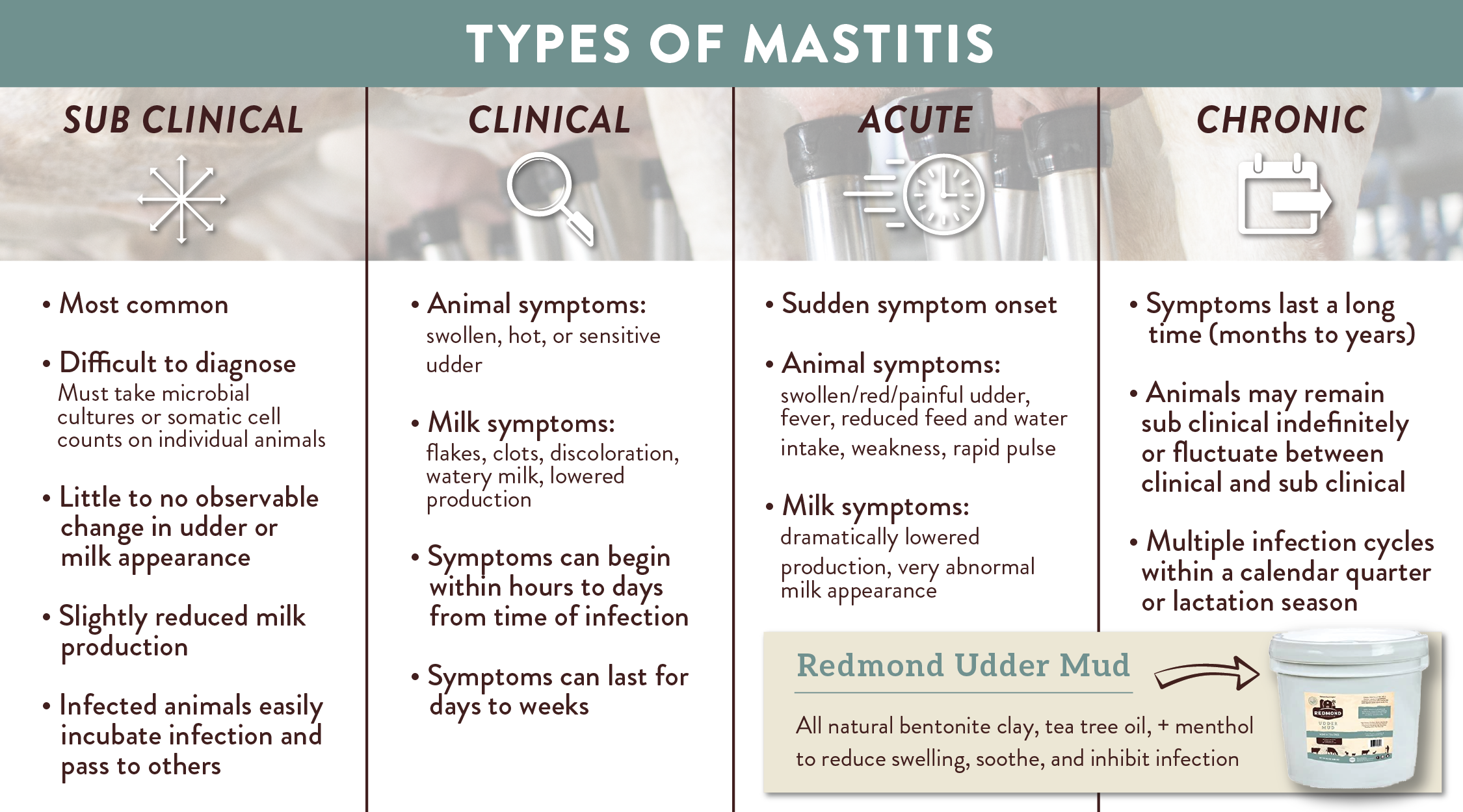 Types of mastitis in cows