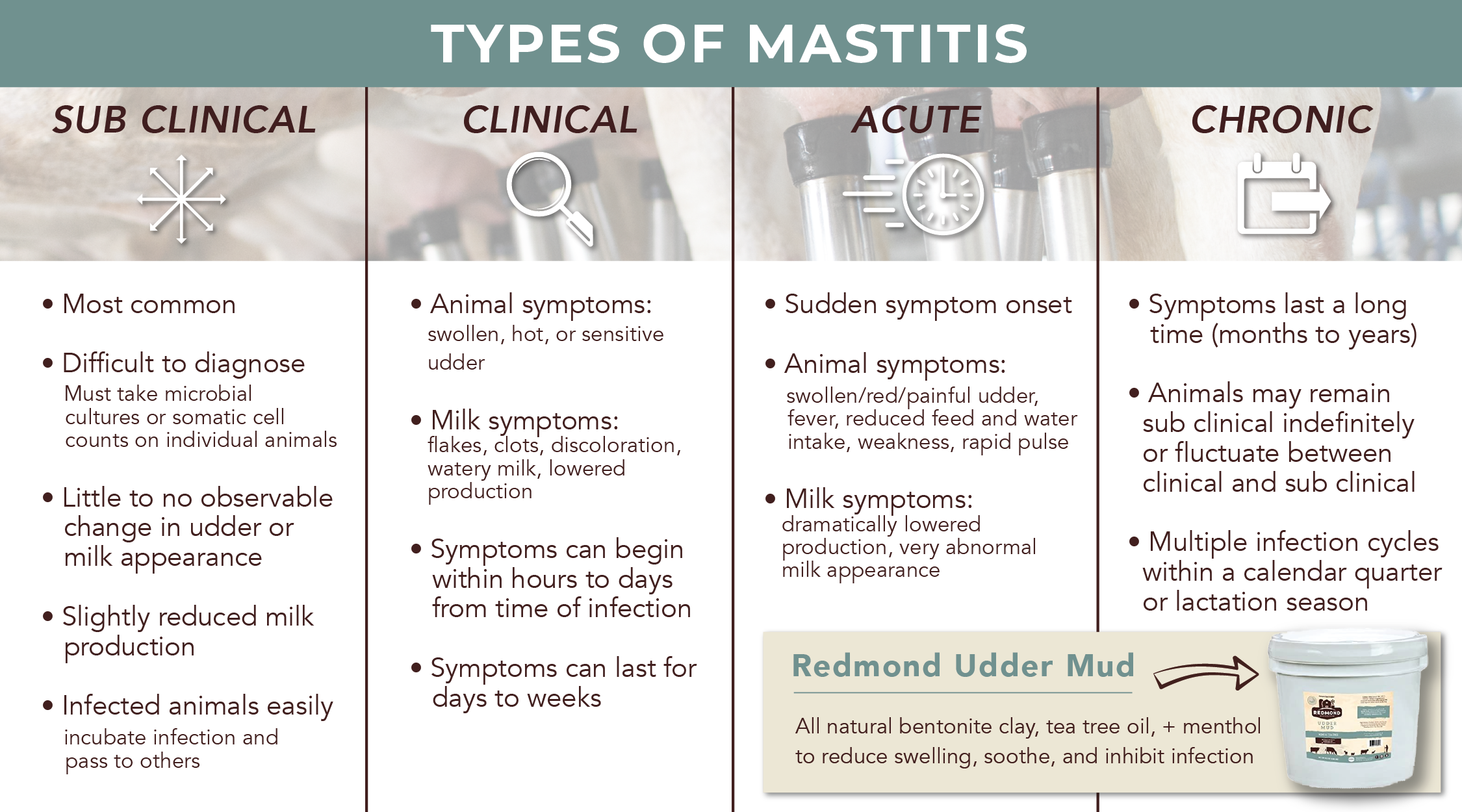 Types of Mastitis and their symptoms in livestock