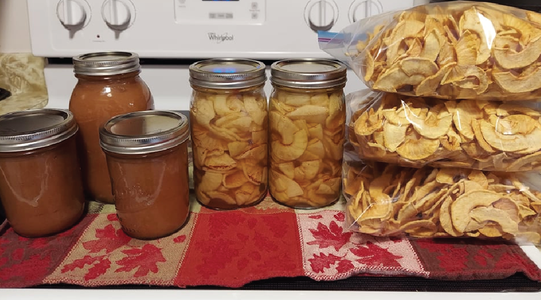 Canned and dried apple preserves