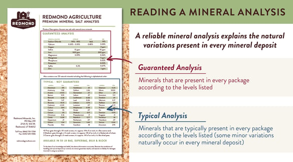 How to read and understand a mineral analysis