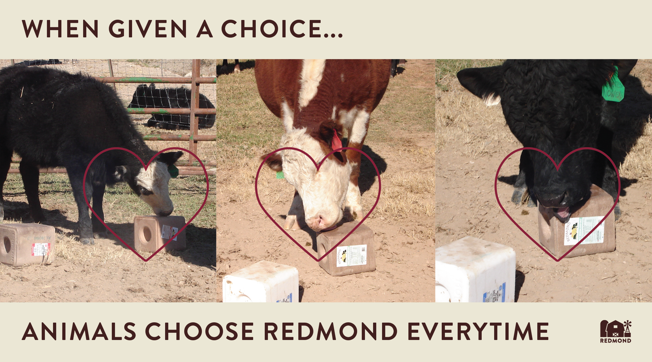 Best Minerals for Livestock: Why Do Animals Prefer Redmond?