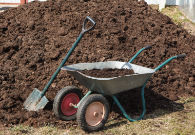 Shovel and wheelbarrow by a manure compost pile