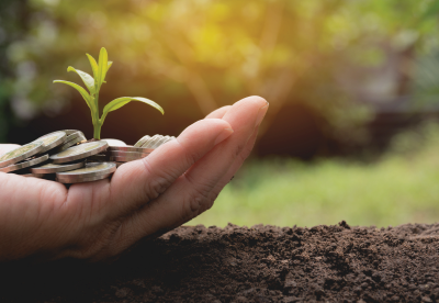 Hand holding coins and a growing plant