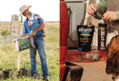 Farmer pouring Redmond minerals out for livestock and refilling Re-Lyte electrolytes in a water bottle
