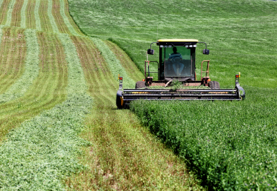 Harvester in a field