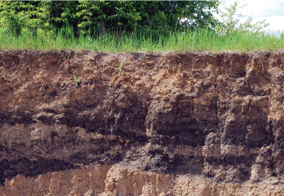 Layers of the soil