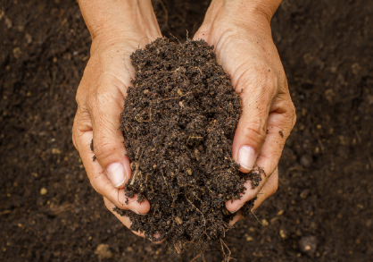 Hands holding soil