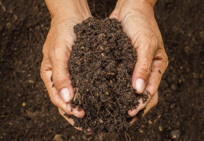 Hand holding soil